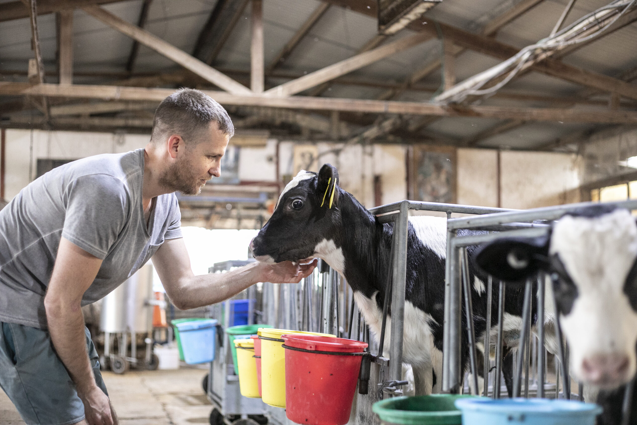 החוקרים הפרטיים חושפים עוולות בבעלי חיים